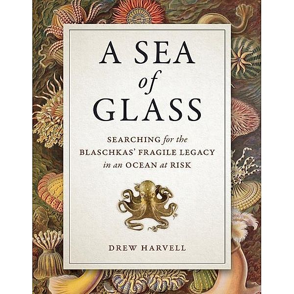 A Sea of Glass / Organisms and Environments Bd.13, Drew Harvell