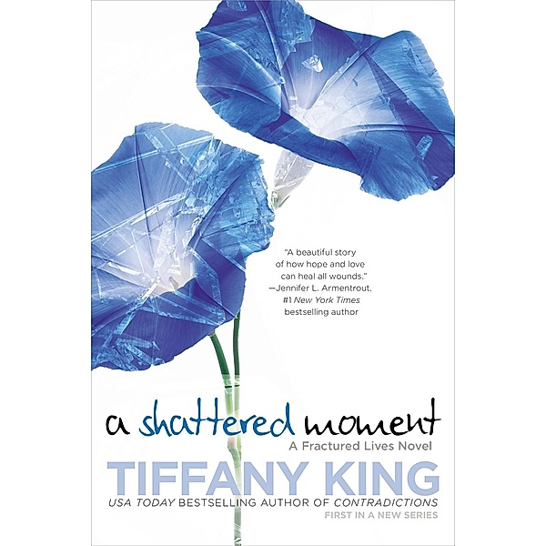 A Shattered Moment / A Fractured Lives novel Bd.1, Tiffany King