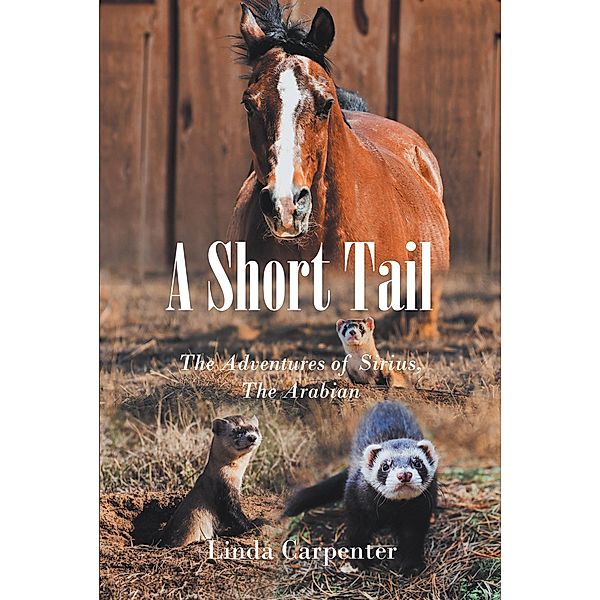 A Short Tail, Linda Carpenter