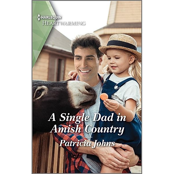 A Single Dad in Amish Country / The Butternut Amish B&B Bd.2, Patricia Johns