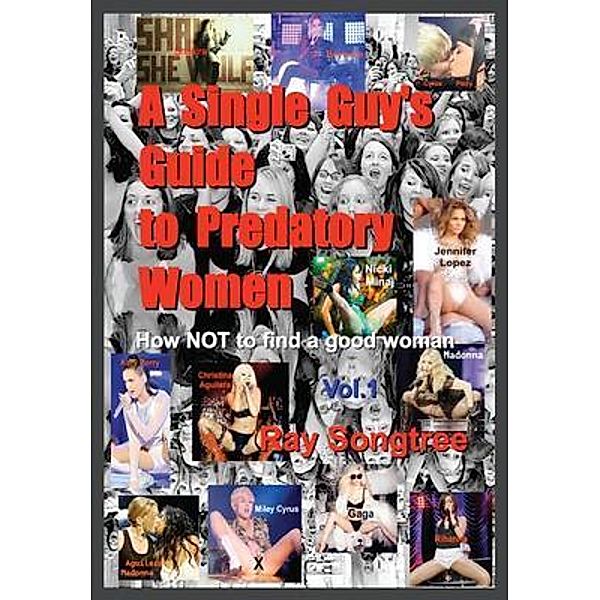 A Single Guy's Guide to Predatory Women (Vol. 1, Lipstick and War Crimes Series) / Kauai Transparency Initiative International, Ray Songtree