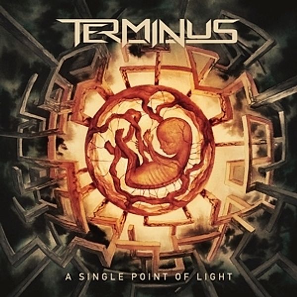 A Single Point Of Light (Black Vinyl), Terminus