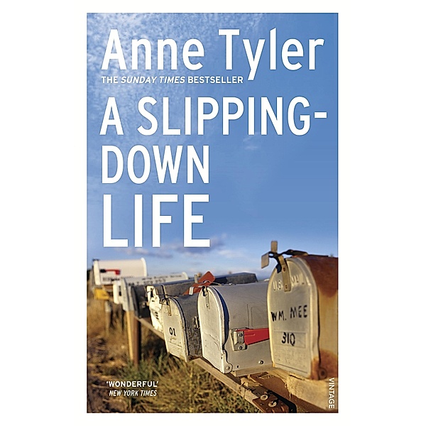 A Slipping Down Life, Anne Tyler