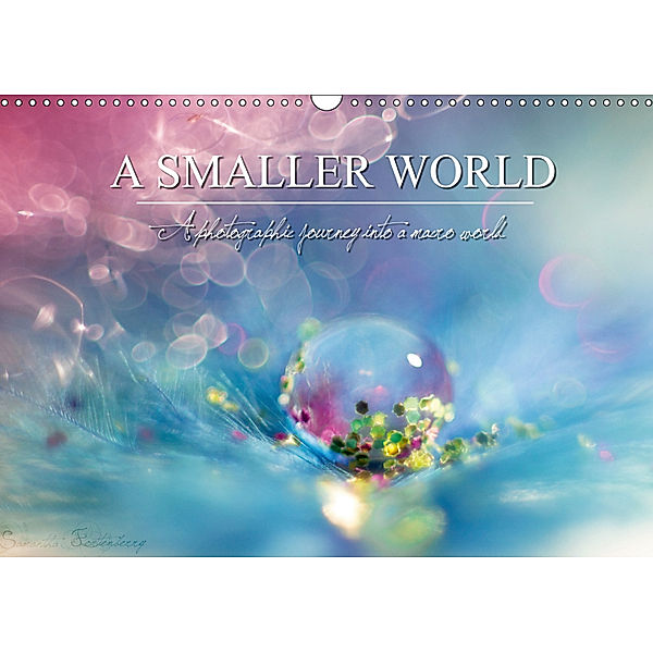 A Smaller World (Wall Calendar 2019 DIN A3 Landscape), Samantha Fortenberry