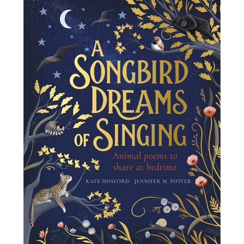 Image of A Songbird Dreams Of Singing - Kate Hosford, Kartoniert (TB)