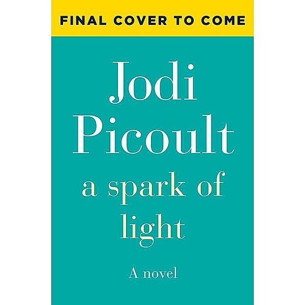 A Spark of Light, Jodi Picoult