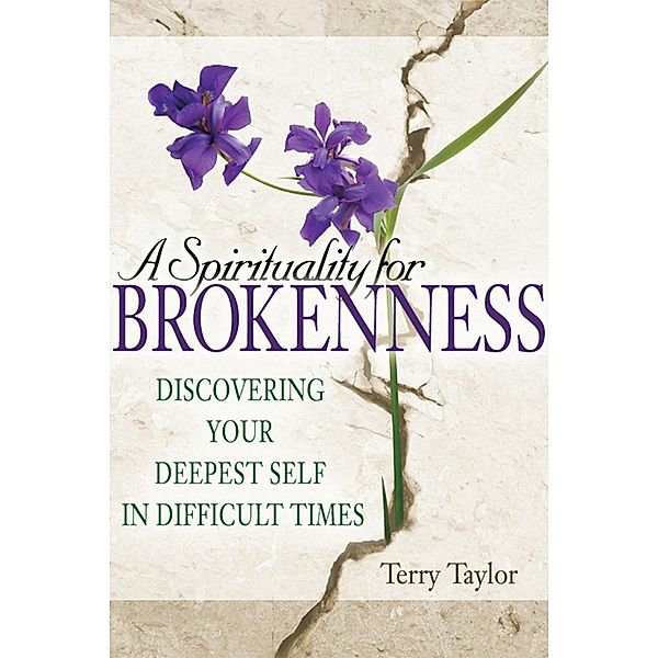 A Spirituality for Brokenness, Terry Taylor