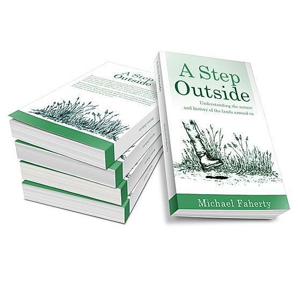 A Step Outside, Michael Faherty