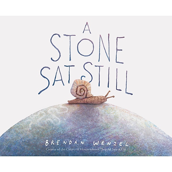 A Stone SAT Still, Brendan Wenzel