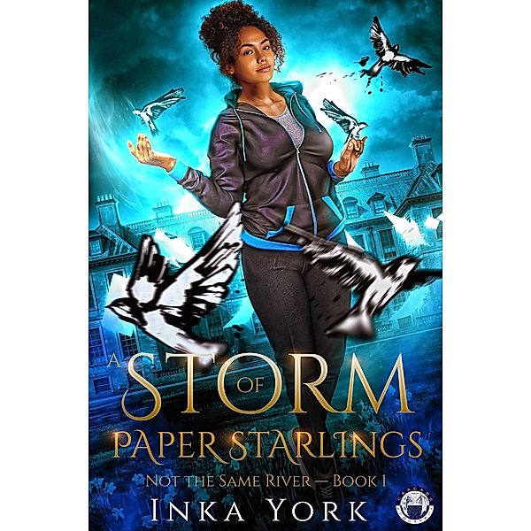 A Storm of Paper Starlings (Not the Same River, #1) / Not the Same River, Inka York