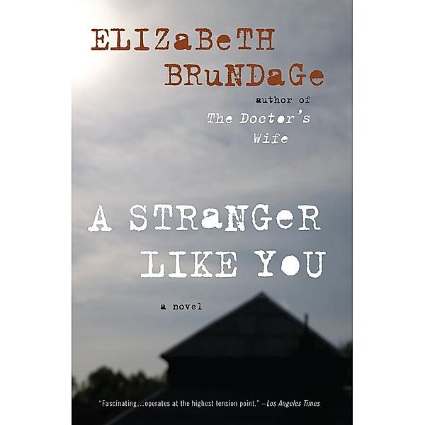 A Stranger Like You, Elizabeth Brundage