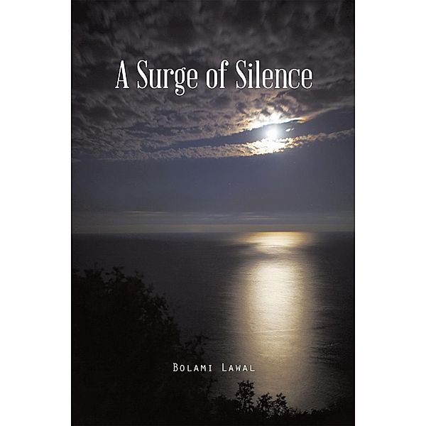 A Surge of Silence, Bolami Lawal