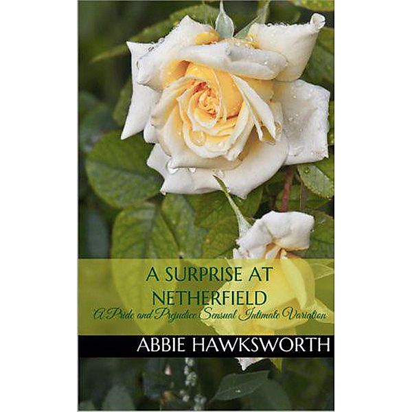 A Surprise at Netherfield: A Pride and Prejudice Sensual Intimate Novella (Mr. Darcy's Secret Engagement, #2) / Mr. Darcy's Secret Engagement, Abbie Hawksworth