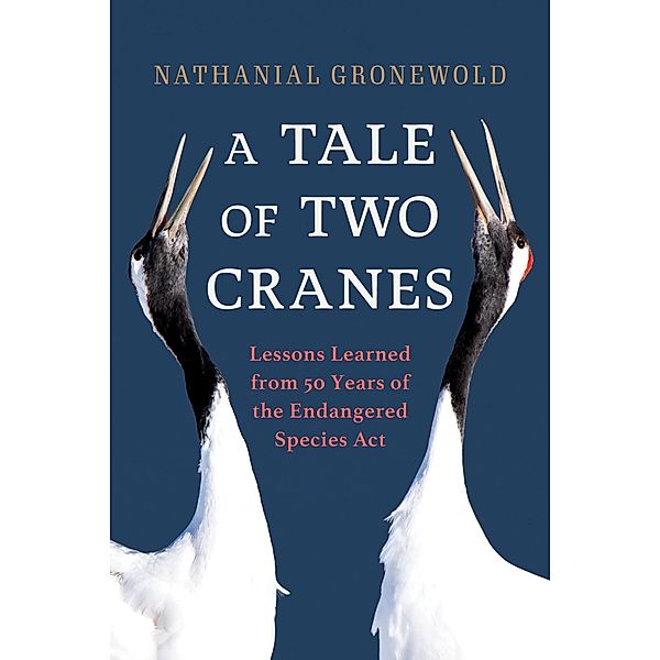 A Tale of Two Cranes, Nathanial Gronewold