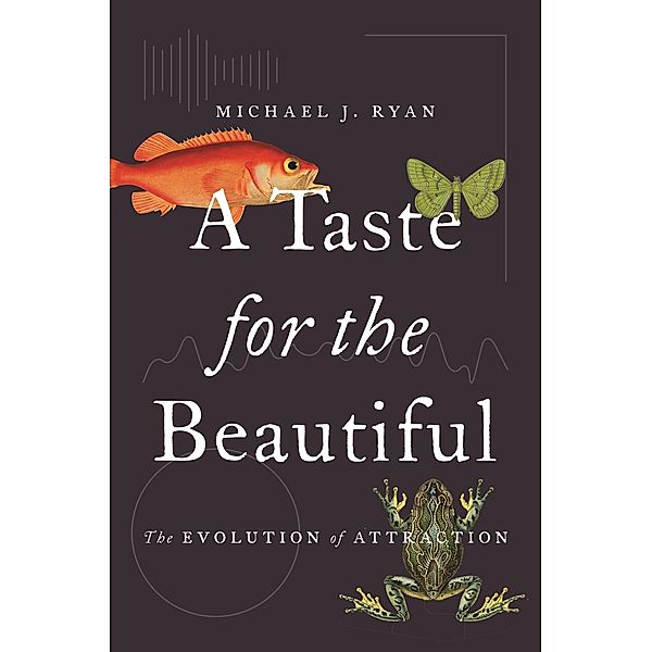 A Taste for the Beautiful, Michael J. Ryan