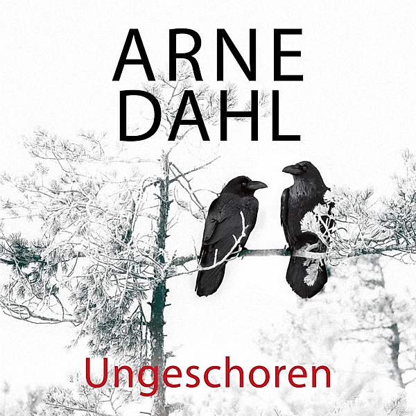 A-Team - 6 - Ungeschoren (A-Team 6), Arne Dahl