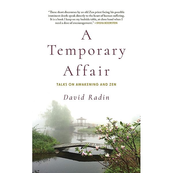 A Temporary Affair, David Radin