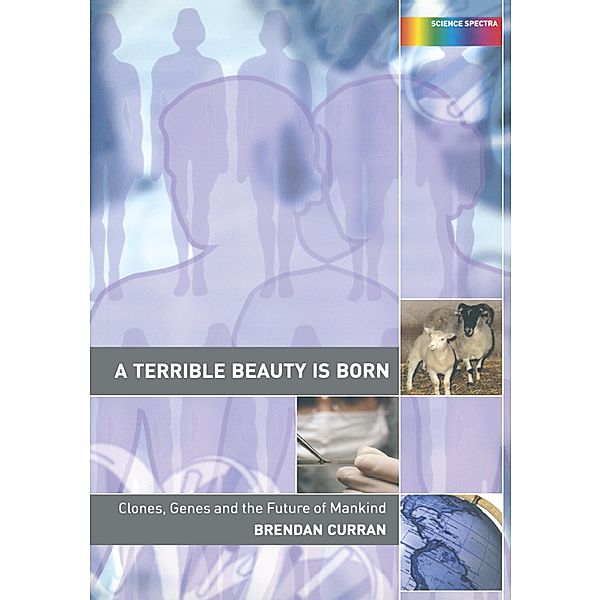 A Terrible Beauty is Born, Brendan Curran