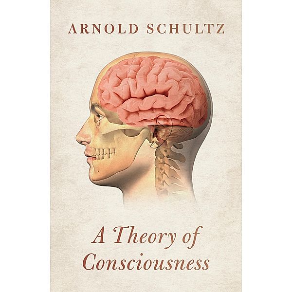 A Theory of Consciousness, Arnold Schultz