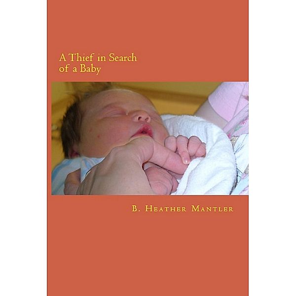 A Thief in Search of a Baby, B. Heather Mantler