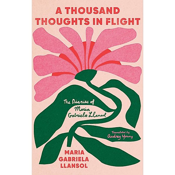 A Thousand Thoughts in Flight, Maria Gabriela Llansol