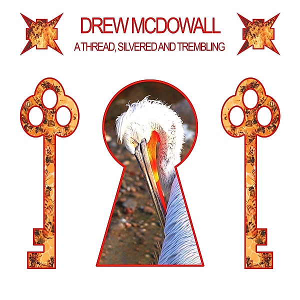 A THREAD, SILVERED AND TREMBLING, Drew McDowall