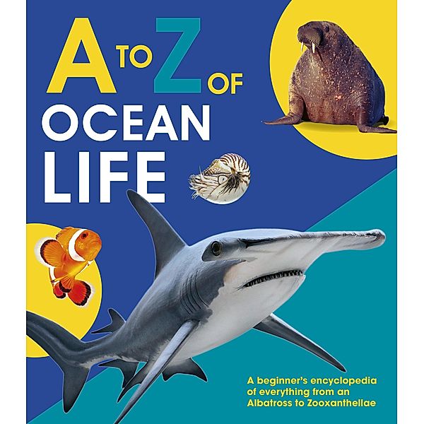 A to Z of Ocean Life / A-Z, Words & Pictures