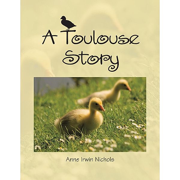 A Toulouse Story, Anne Irwin Nichols