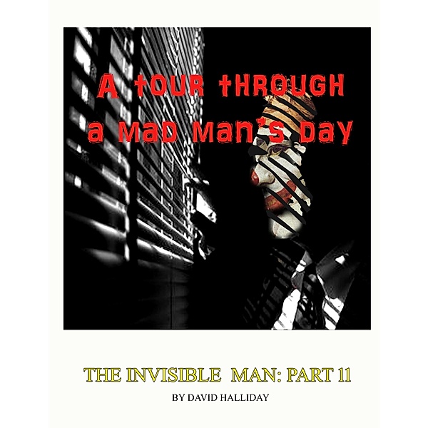 A Tour Through A Mad Man's Days (The Invisible Man, #11) / The Invisible Man, David Halliday