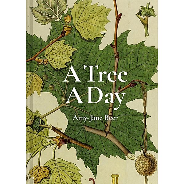 A Tree A Day, Amy-Jane Beer