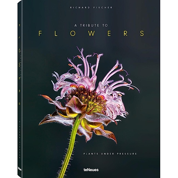 A Tribute to FLOWERS, Richard Fischer, Pas Morché