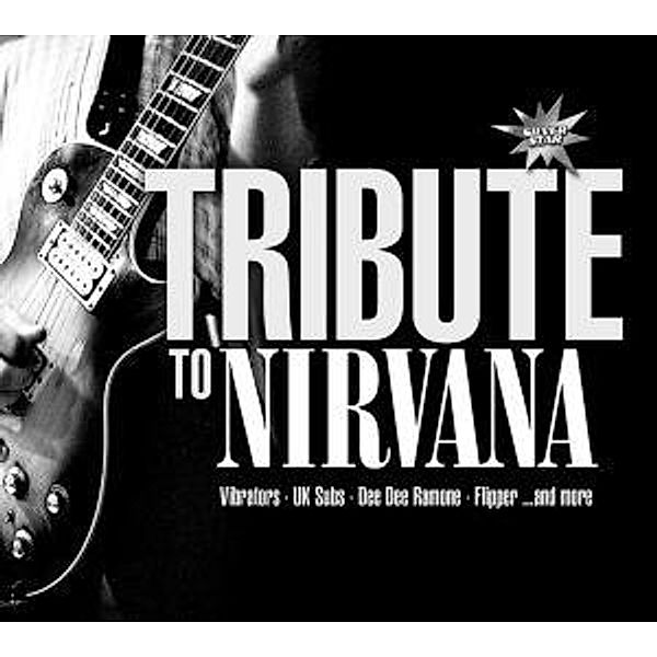 A Tribute To Nirvana, Diverse Interpreten