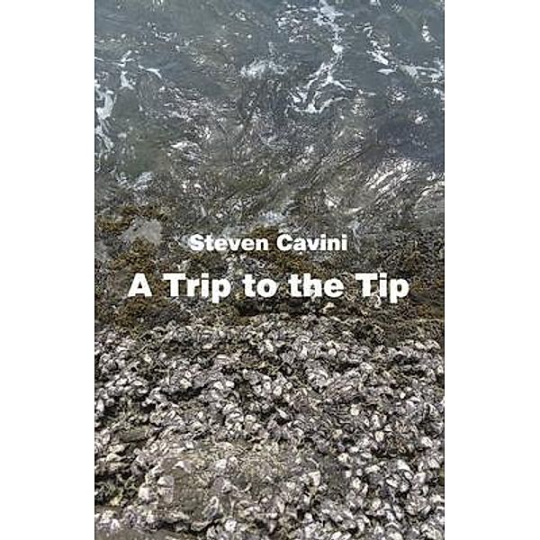 A Trip to the Tip, Steven Cavini