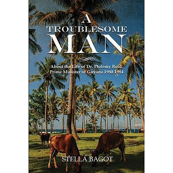 A TROUBLESOME MAN / Grovehouse Press Llc, Stella Bagot