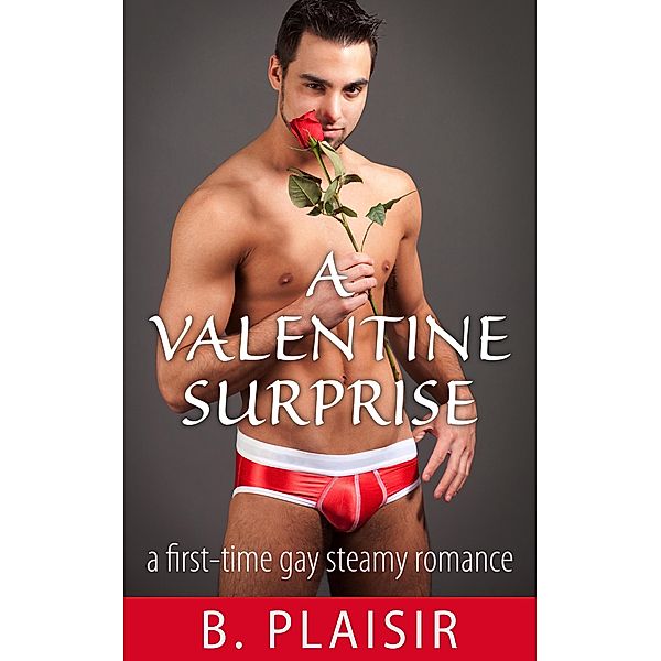 A Valentine Surprise (Gay Holiday Romantic Shorts) / Gay Holiday Romantic Shorts, B. Plaisir