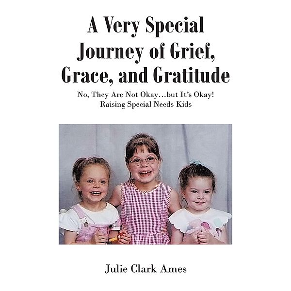 A Very Special Journey of Grief, Grace, and Gratitude, Julie Clark Ames