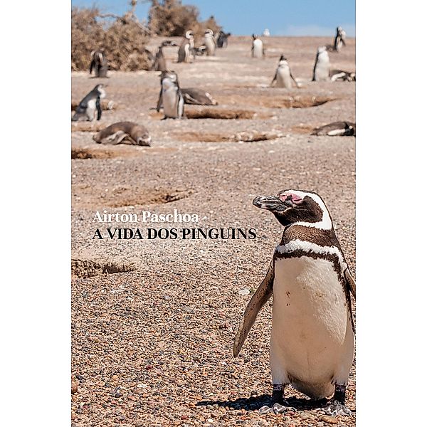 A vida dos pinguins, Airton Paschoa