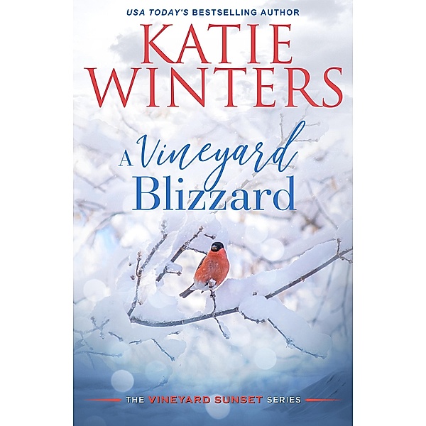 A Vineyard Blizzard (A Vineyard Sunset Series, #12) / A Vineyard Sunset Series, Katie Winters