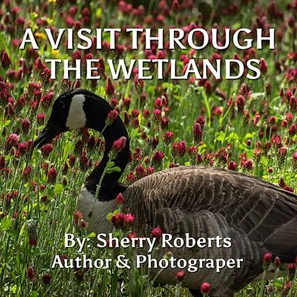 A Visit Through the Wetlands, Sherry Roberts