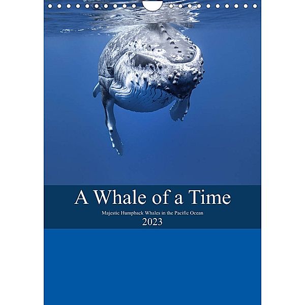 A Whale Of A Time (Wall Calendar 2023 DIN A4 Portrait), Travelpixx.com