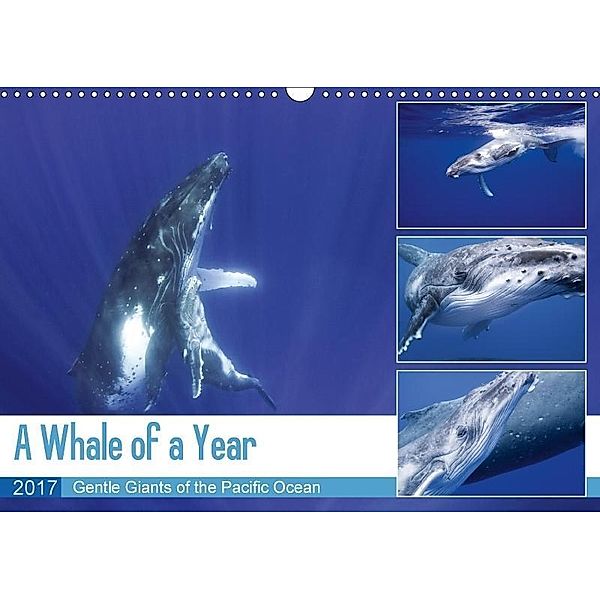 A Whale of a Year (Wall Calendar 2017 DIN A3 Landscape), Travelpixx.com