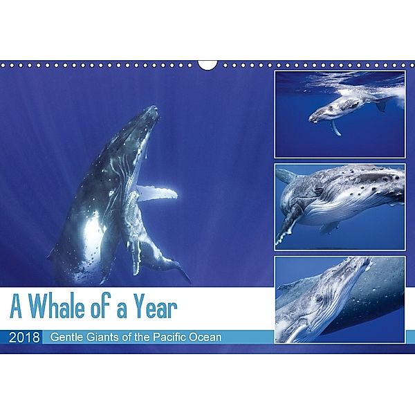 A Whale of a Year (Wall Calendar 2018 DIN A3 Landscape), Travelpixx.com