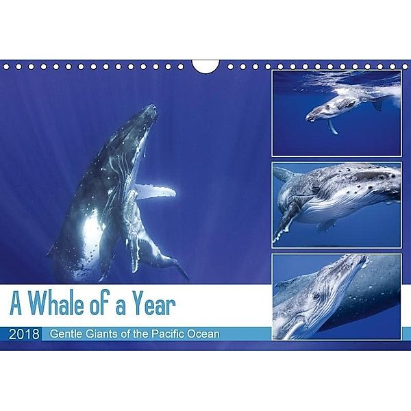 A Whale of a Year (Wall Calendar 2018 DIN A4 Landscape), Travelpixx.com