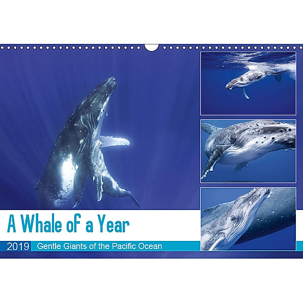 A Whale of a Year (Wall Calendar 2019 DIN A3 Landscape), Travelpixx. com