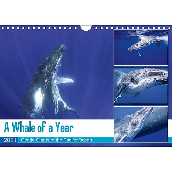 A Whale of a Year (Wall Calendar 2021 DIN A4 Landscape)