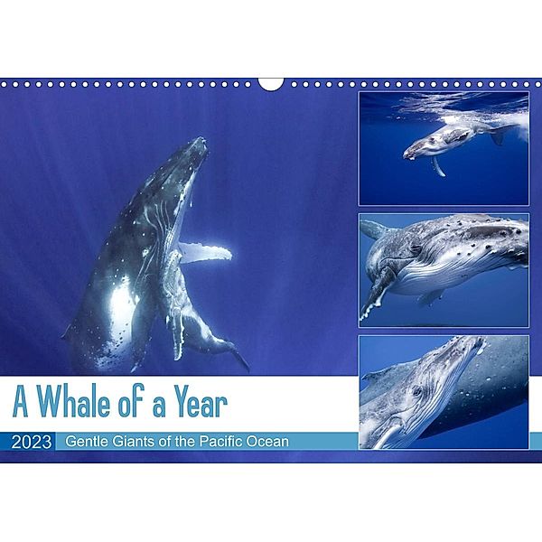 A Whale of a Year (Wall Calendar 2023 DIN A3 Landscape), Travelpixx.com