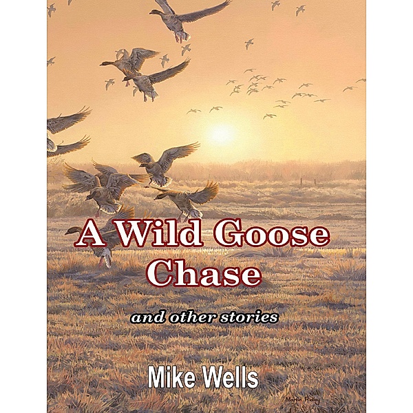 A Wild Goose Chase: And Other Stories, Mike Wells