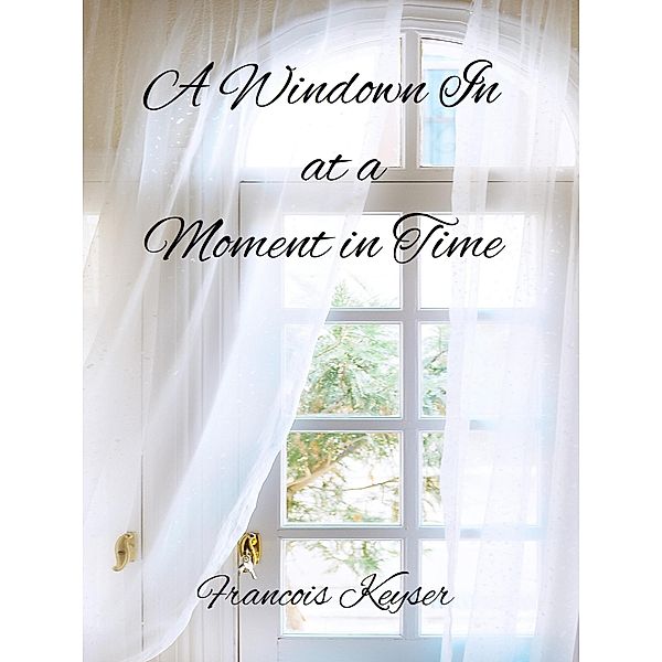 A Window in at a Moment in Time, Francois Keyser