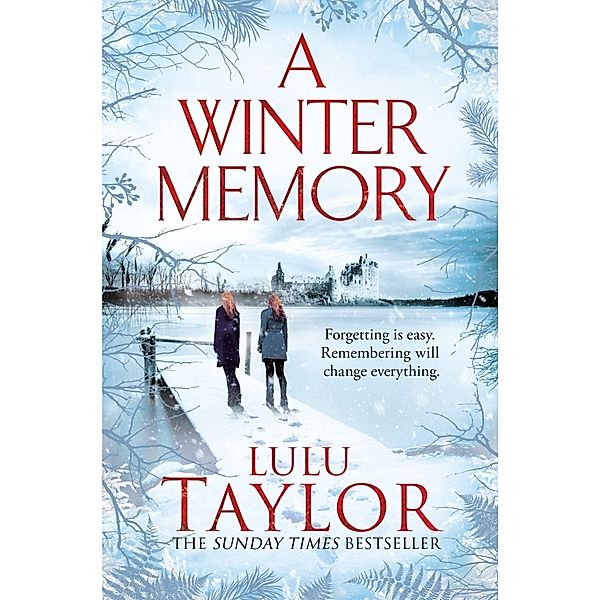 A Winter Memory, Lulu Taylor