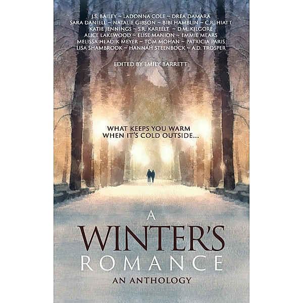 A Winter's Romance, Bhc Press
